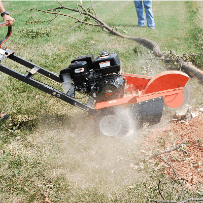 Tree Removal & Lopping Kuluin - Sunshine Coast Tree Lopping Caloundra Sunshine Coast Tree Lopping Caloundra 6 Stump removal Sunshine Coast