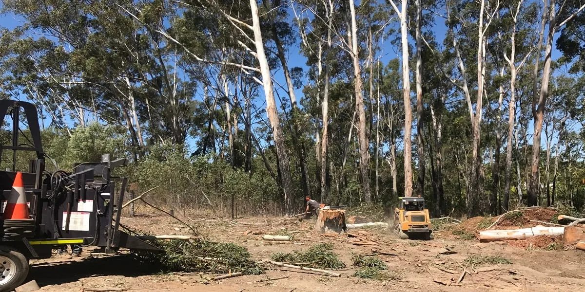 Brush removal Sunshine Coast