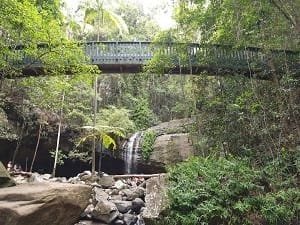 Buderim Forest Park