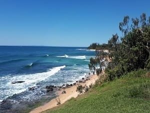 Tree Removal & Lopping Kuluin - Sunshine Coast Tree Lopping Caloundra Sunshine Coast Tree Lopping Caloundra 11 Caloundra