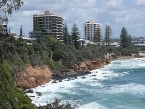 Tree Removal & Lopping Kuluin - Sunshine Coast Tree Lopping Caloundra Sunshine Coast Tree Lopping Caloundra 16 Coolum Beach