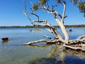 Lake Weyba