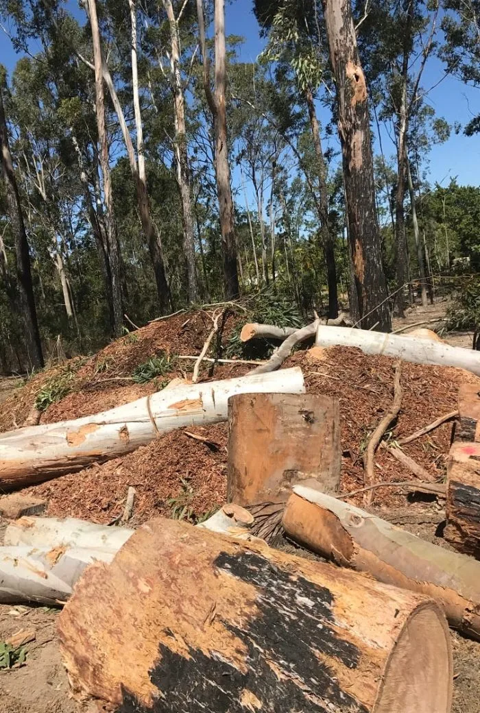 Land clearing Sunshine Coast