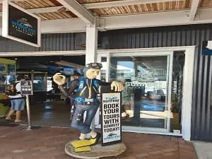 Mooloolaba Sunshine Coast Tree Lopping Caloundra 17 Sunreef Mooloolaba