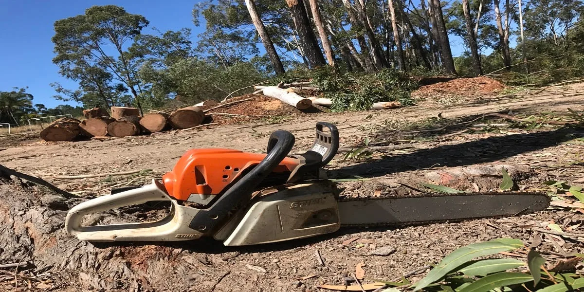 Tree care Maroochydore
