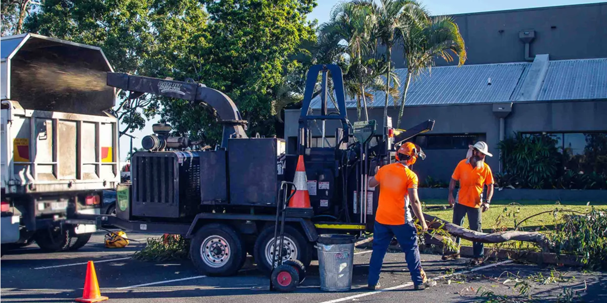 Coolum Sunshine Coast Tree Lopping Caloundra 7 Tree maintenance Coolum