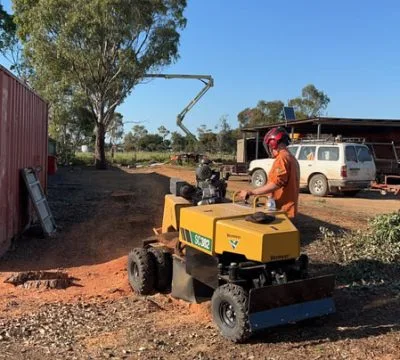 Tree stump removal Sunshine Coast